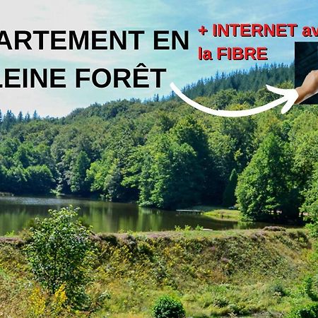 Appartement Aux Sources De La Chabanne Saint-Hilaire-les-Courbes Ngoại thất bức ảnh
